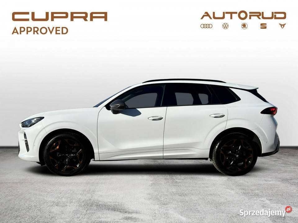 Cupra Terramar 15 eTSI 150 DSG 2024 Bezwypadkowy Kielce