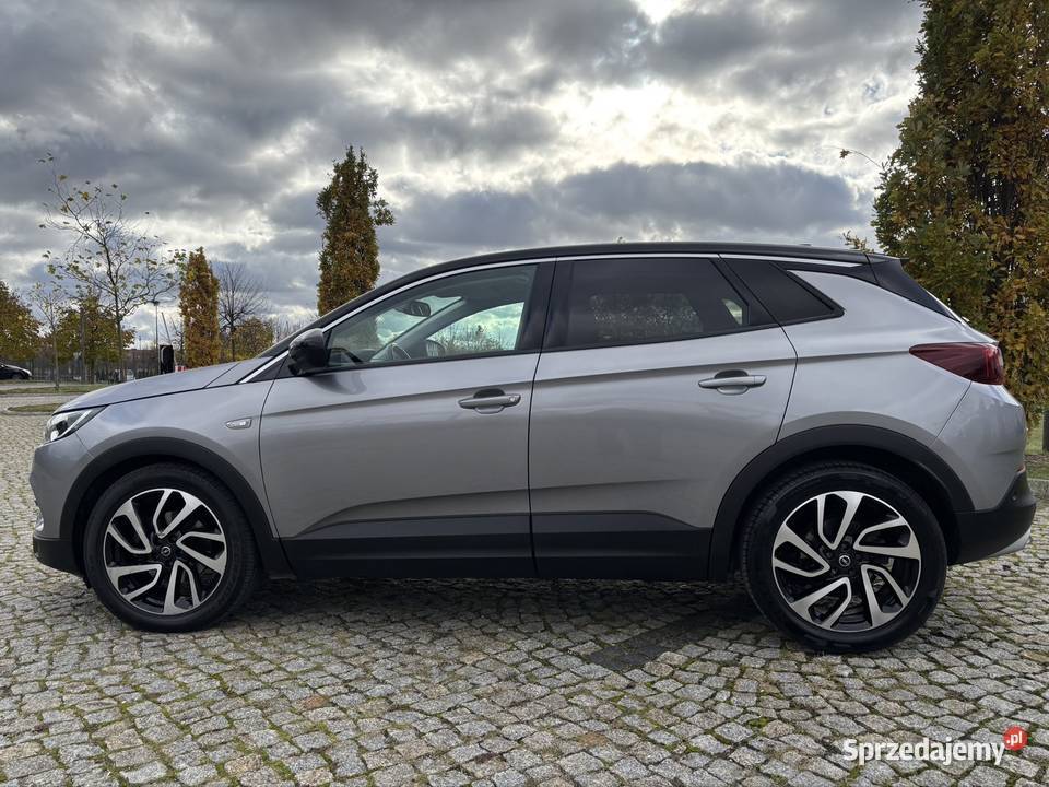 Opel Grandland X 20 177 Automat Salon Stan Iława