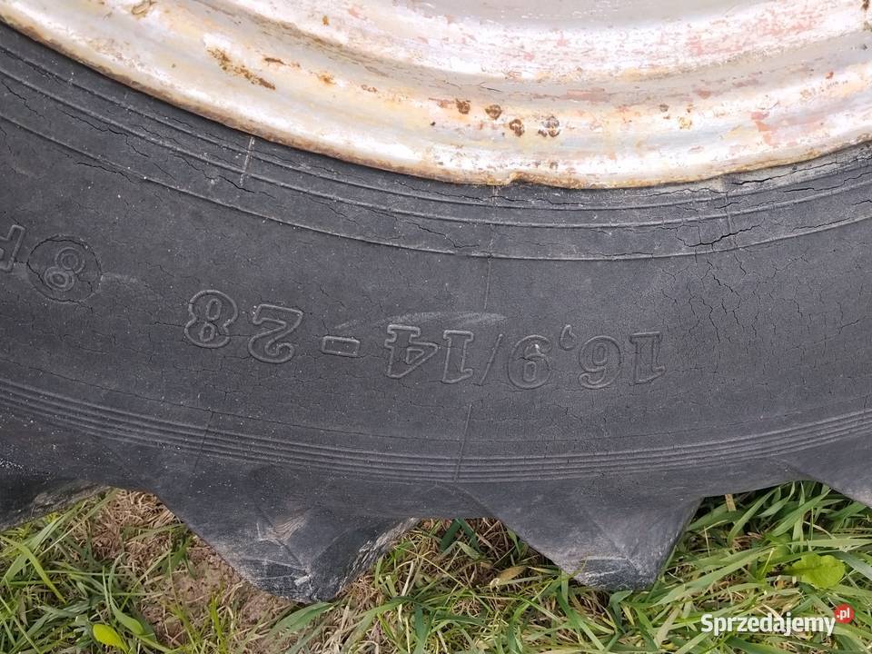 Koła bizon z056 Chmiel Pierwszy