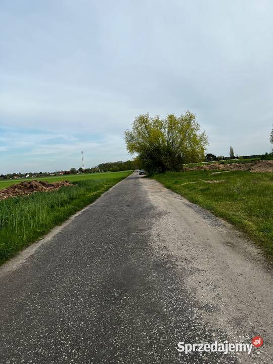 Działka drodze asfaltowej 8zł/m2 lubuskie Kolsko