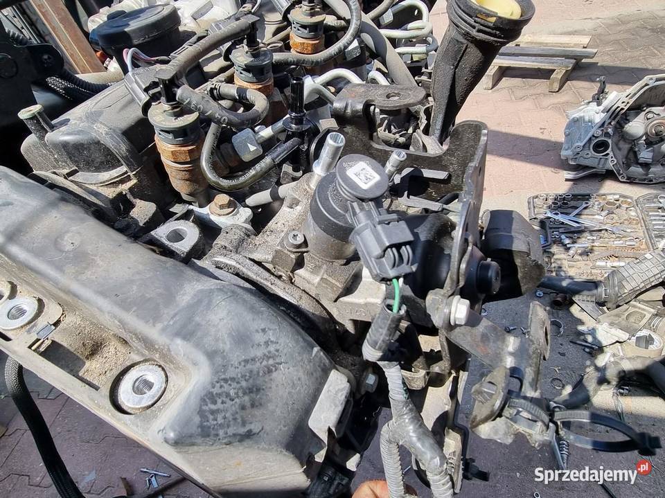 SILNIK RENAULT DACIA NISSAN 15 DCI K9KC612 osobowe wielkopolskie sprzedam