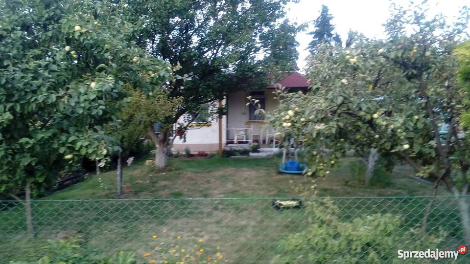 Działka ROD Leśna Polana Poznań