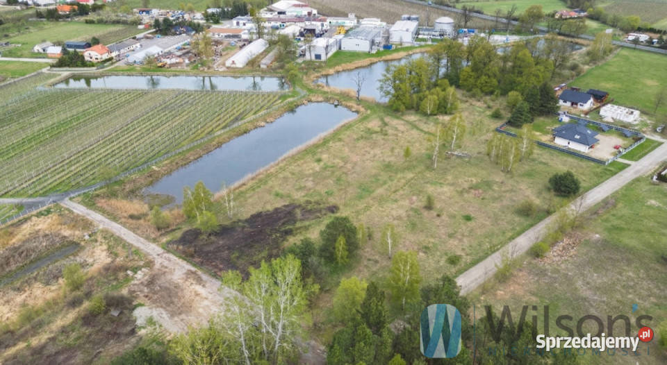 Grunt Potycz 1303m2 polna