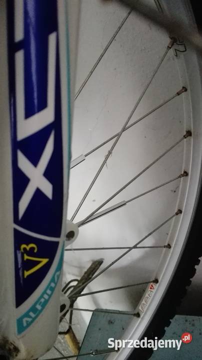 Rower Górski Alpina Eco Wałbrzych