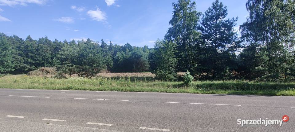 Urokliwa działka budowlana 800 m w otulinie lasu Warszawa