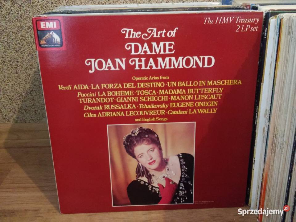 Płyty winylowe w transzach 10 na prezent mega Włocławek