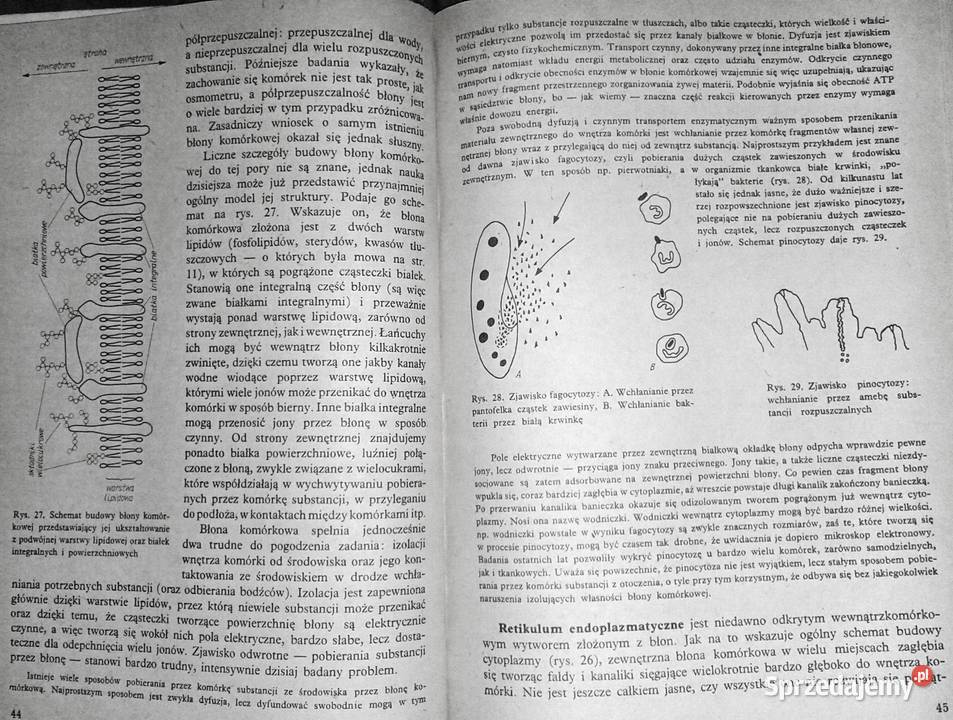 Ogólne zasady biologii Andrzej Grębecki