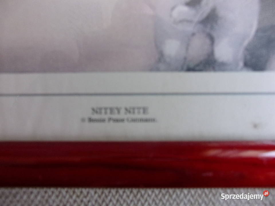 ładne 2 reprodukcje z serii Garden Collection mazowieckie Warszawa