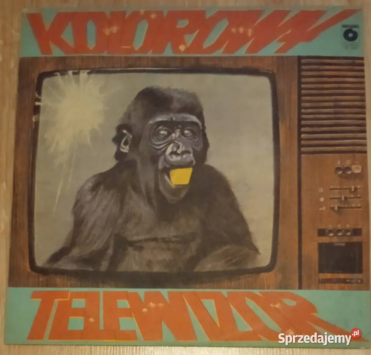 Grzegorz Markowski Kolorowy Telewizor Poznań