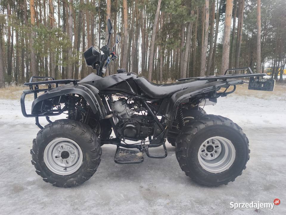 Quad 250 Zajerejestrowany kupiony w Polsce Dobryń-Kolonia