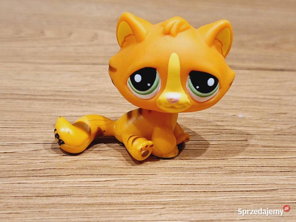 Tabby kot Littlest Pet Shop Hasbro Braniewo