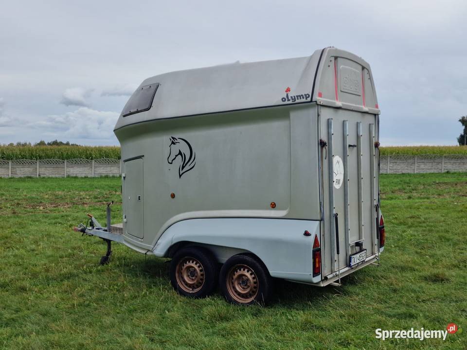 Przyczepa do przewozu koni SLUIS Olymp Piekoszów