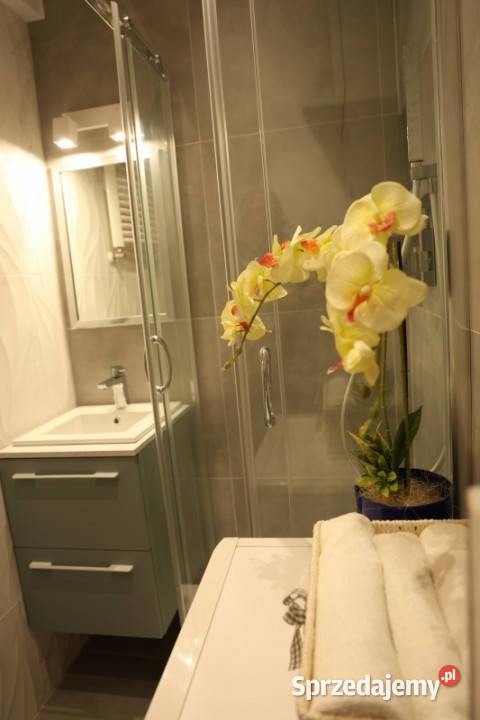 Bez prowizji remoncie 43 mkw parter k WSIZ i Rzeszów