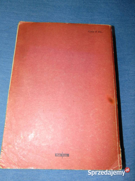 Zagadnienie czasu przedstawionego w obrazie Lublin