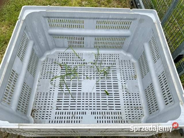 paletyy szkrzyniowe ażurowe plastik Części i akcesoria motocyklowe
