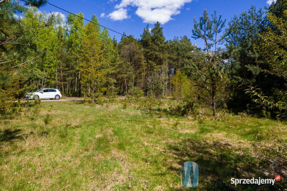 Działka 13000m2 Załuski