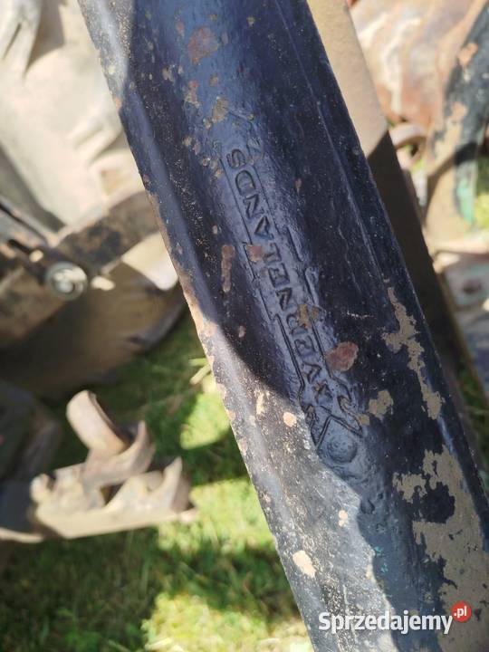 Brona talerzowa Brony Człuchów