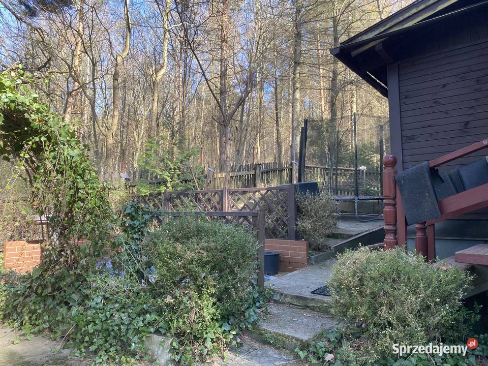 Domek jeziorem w lesie Zbychowo