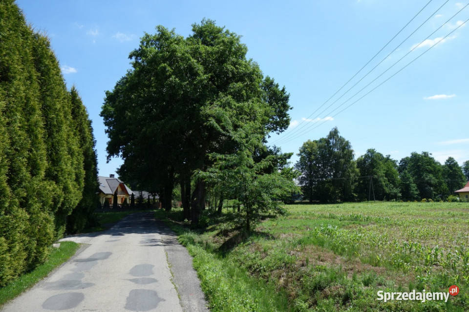 Skoczów Ochaby 162 ha z prawem zabudowy