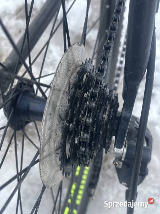 Rower górski Indiana Uchanie