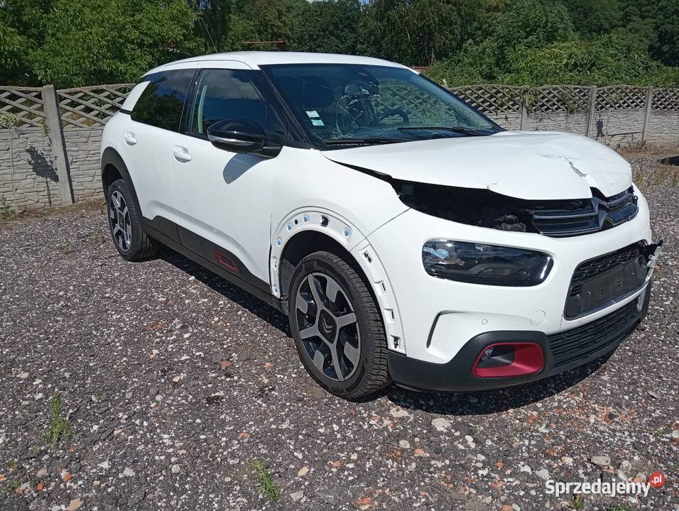 C4 cactus 12 automat Margonin