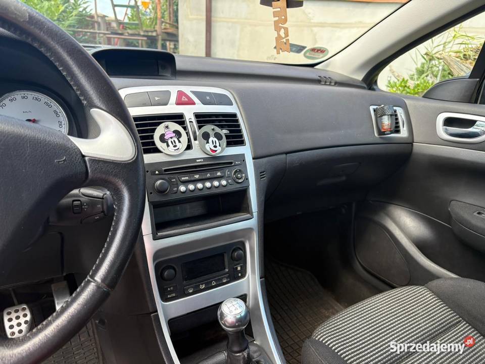 Peugeot 307 CC Wolin