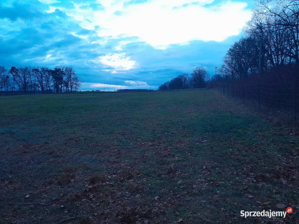Sprzedam Działki CHYCINA nowe osiedle 12 działek Sprzedaż Grunty i działki