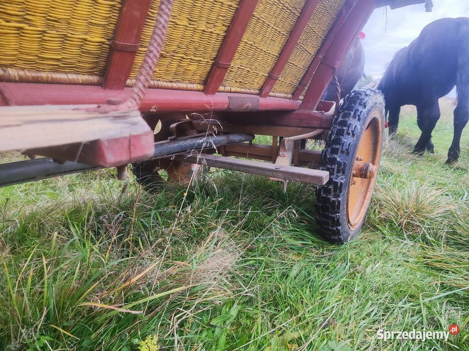 Sprzedam wóz konny wasąg Łęka