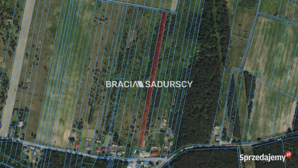 sprzedaży gruntu Rokitno Szlacheckie 6008m2 asfalt Sprzedaż