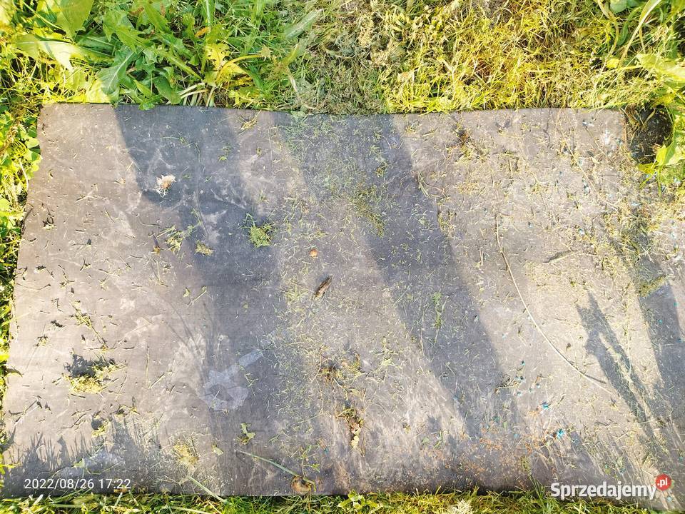 Pas transportowy świętokrzyskie Ostrowiec Świętokrzyski sprzedam