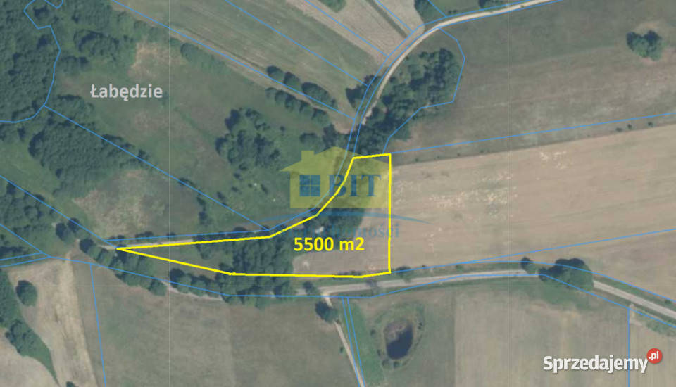 Działka 5500 m2 Łabędzie gmina Drawsko Pom asfalt Nieruchomości zachodniopomorskie sprzedam