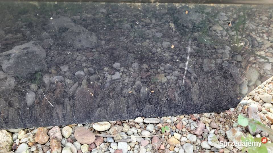 Drzwi Opel Astra F mazowieckie Łagów