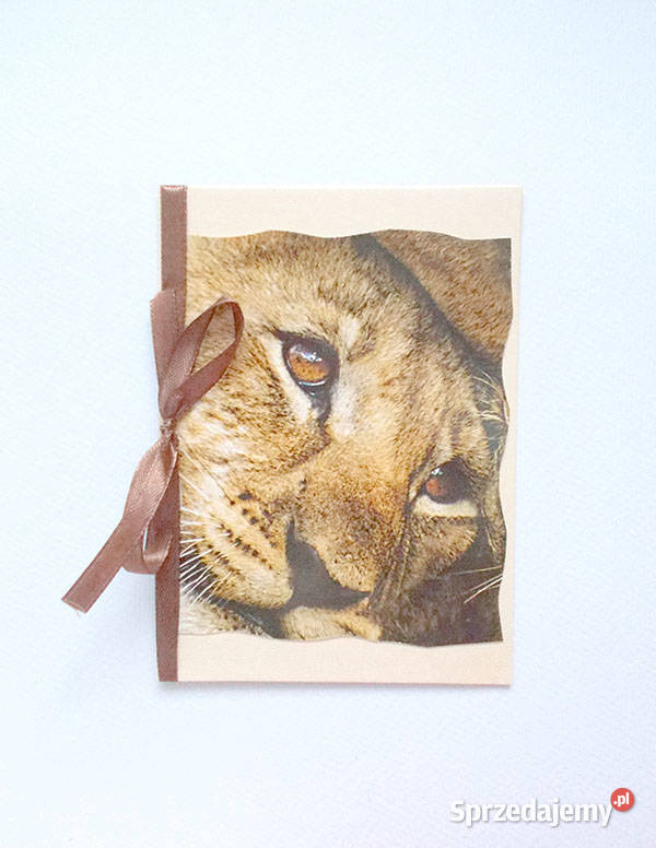 lew kartka kartki ze zwierzętami Białystok