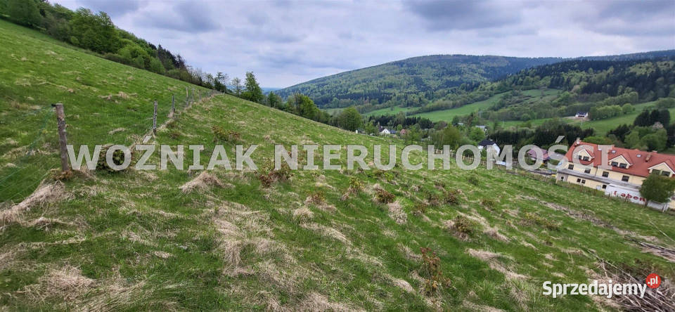 Grunt 879m2 Rzeczka sprzedam