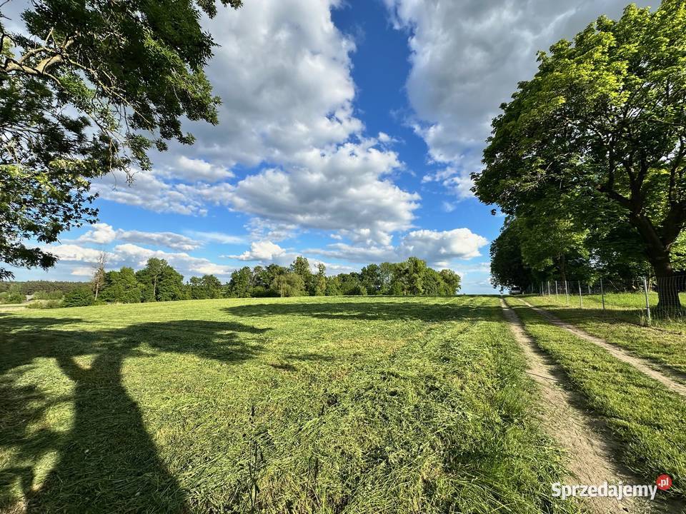 Działka Gołębowo Maniewo Gołaszyn Oborniki z