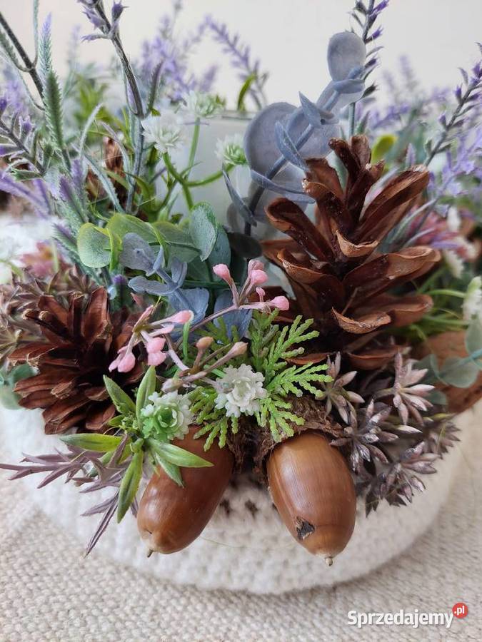 STROIK LAMPION zachodniopomorskie Stargard