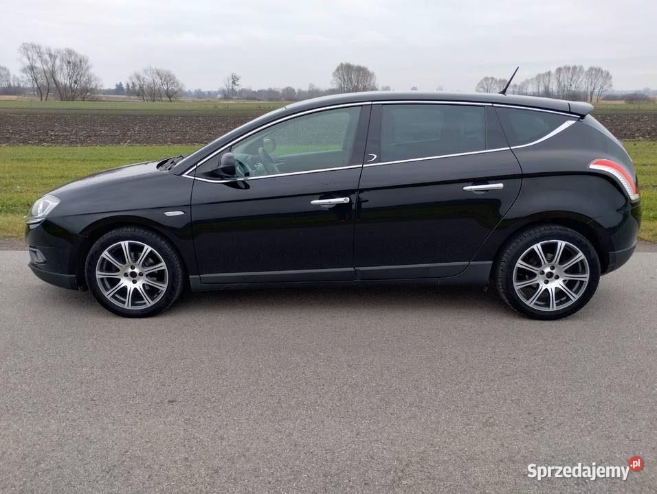 Lancia Delta 14 benz 2011 r full serwis Hatchback Chełm