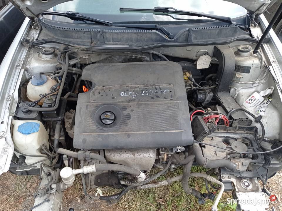 Seat Leon 16 77 kw 2004 r dawca części Samochody na części Szklarka Myślniewska