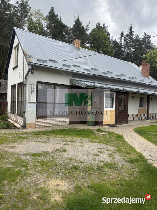 Jelna urokliwe siedlisko z potencjałem