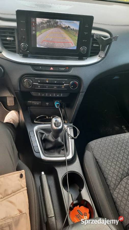 Kia Ceed 2022r LIFT 10 100 22 bogata wyposażenia 4/5 Ostrów Wielkopolski