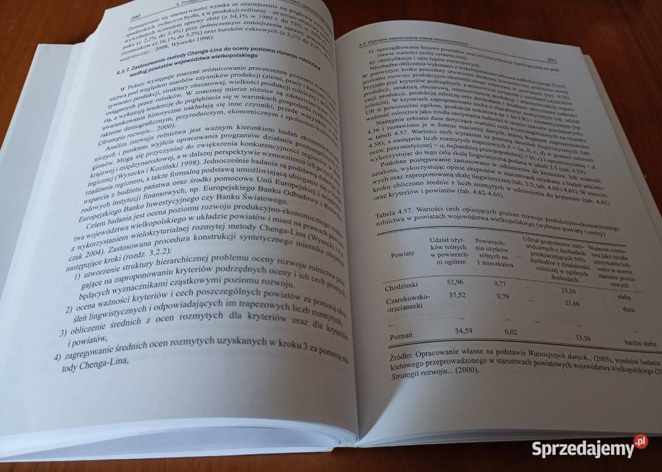 Metody taksonomiczne w rozpoznawaniu typów