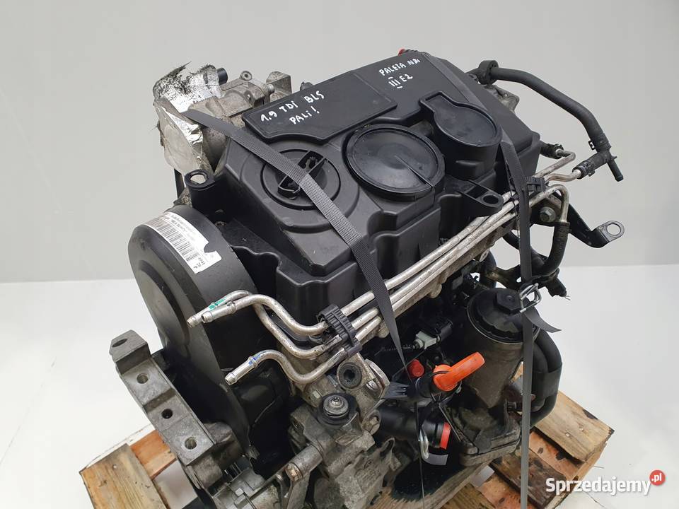 SILNIK BLS VW Passat B6 Golf V Touran Jetta III osobowe lubelskie Rudka