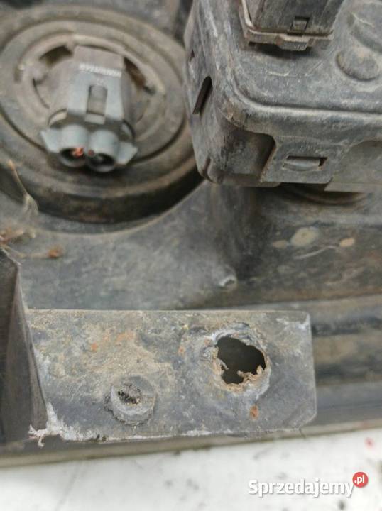 LAMPA PRZÓD PRAWA Nissan Terrano II 19932007 świętokrzyskie