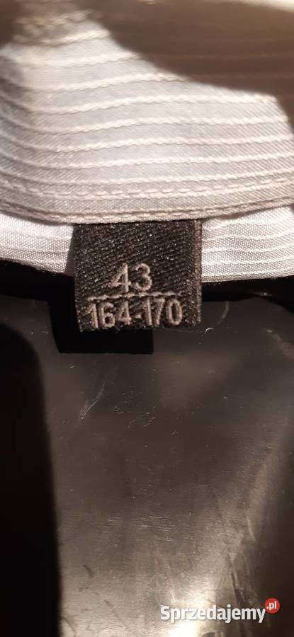 Garnitur recman koszula Rozmiar 42(XL) sprzedam