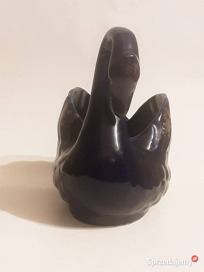 Łabądź dekoracyjny Szczecinek