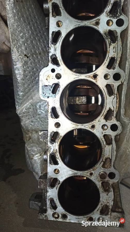Blok silnika Bmw e46 e39 e60 z3 z4 20i 20Ci Dębica