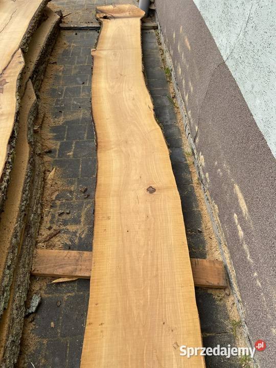 Brusy czereśnia gruszka 57 Babica