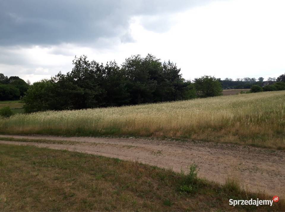 Działka z możliwością zabudowy 4300m2 Sprzedaż Sprzedaż zachodniopomorskie