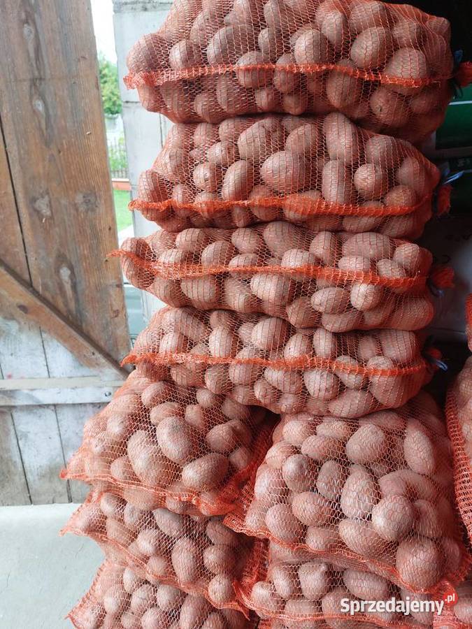 Ziemniaki jadalne Bellarosa Makowa