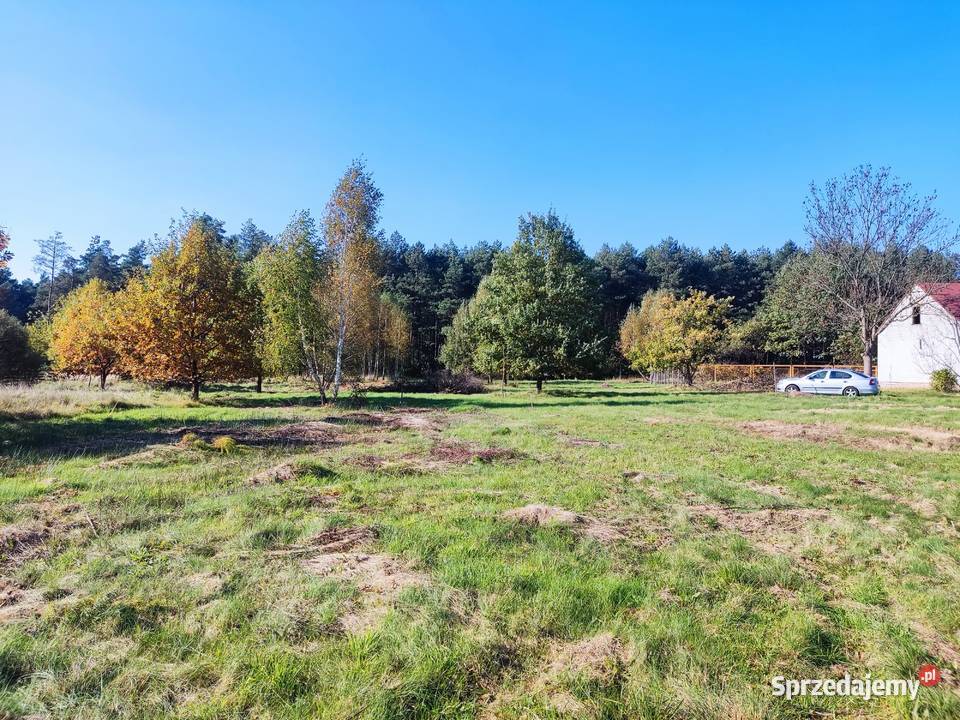 Działki budowlane 8001330m2 Grębiszew koło Mińsk sprzedam